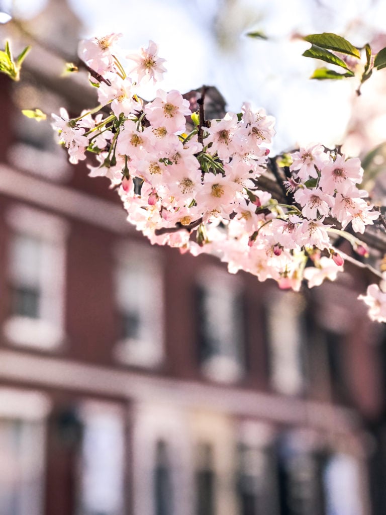 Philadelphia In The Spring Why You'll Want to Visit Philadelphia in the Spring - Style + Eat