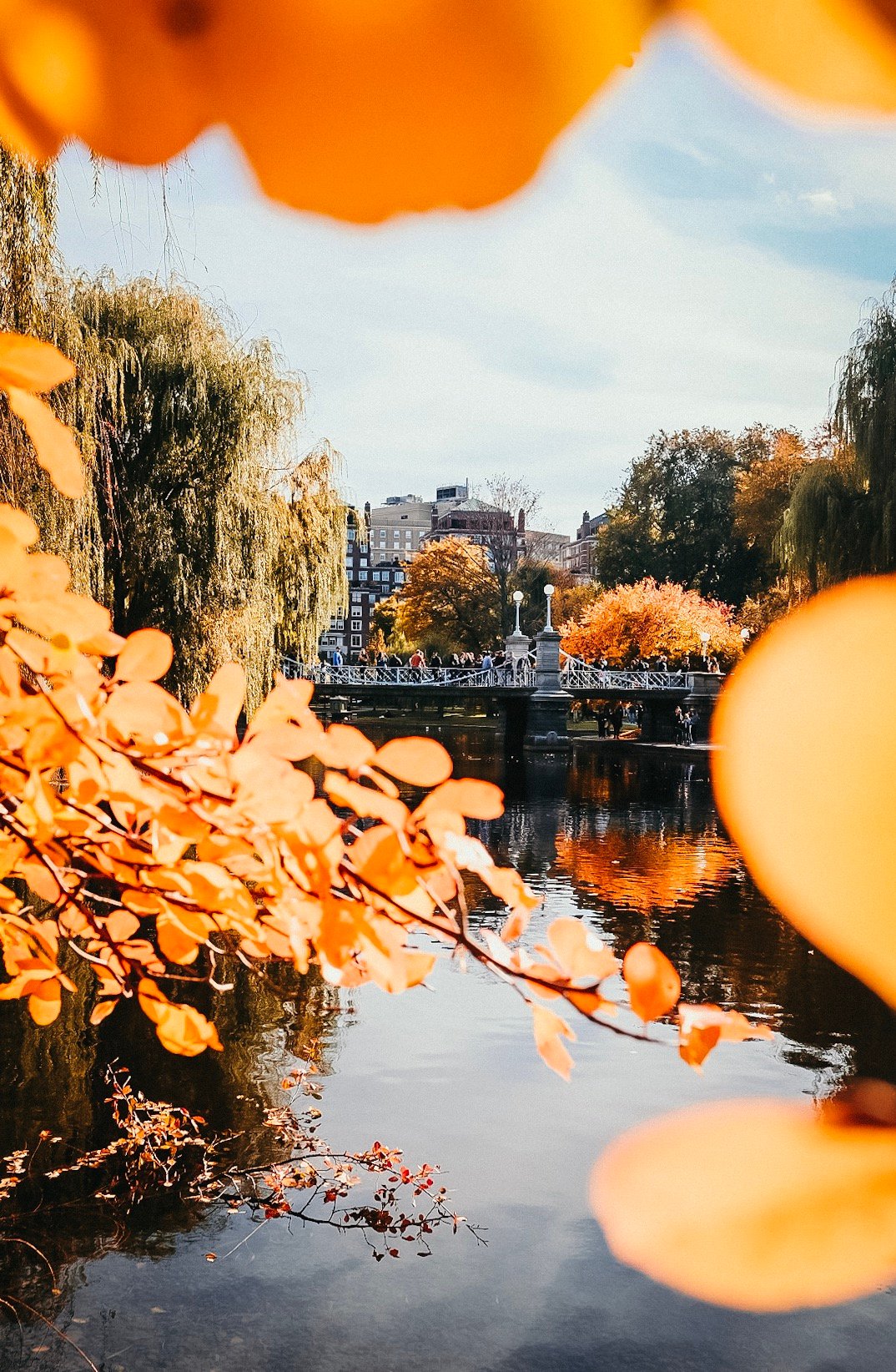 Lifestyle Blogger Chocolate & Lace shares her trip to Boston, MA in the fall