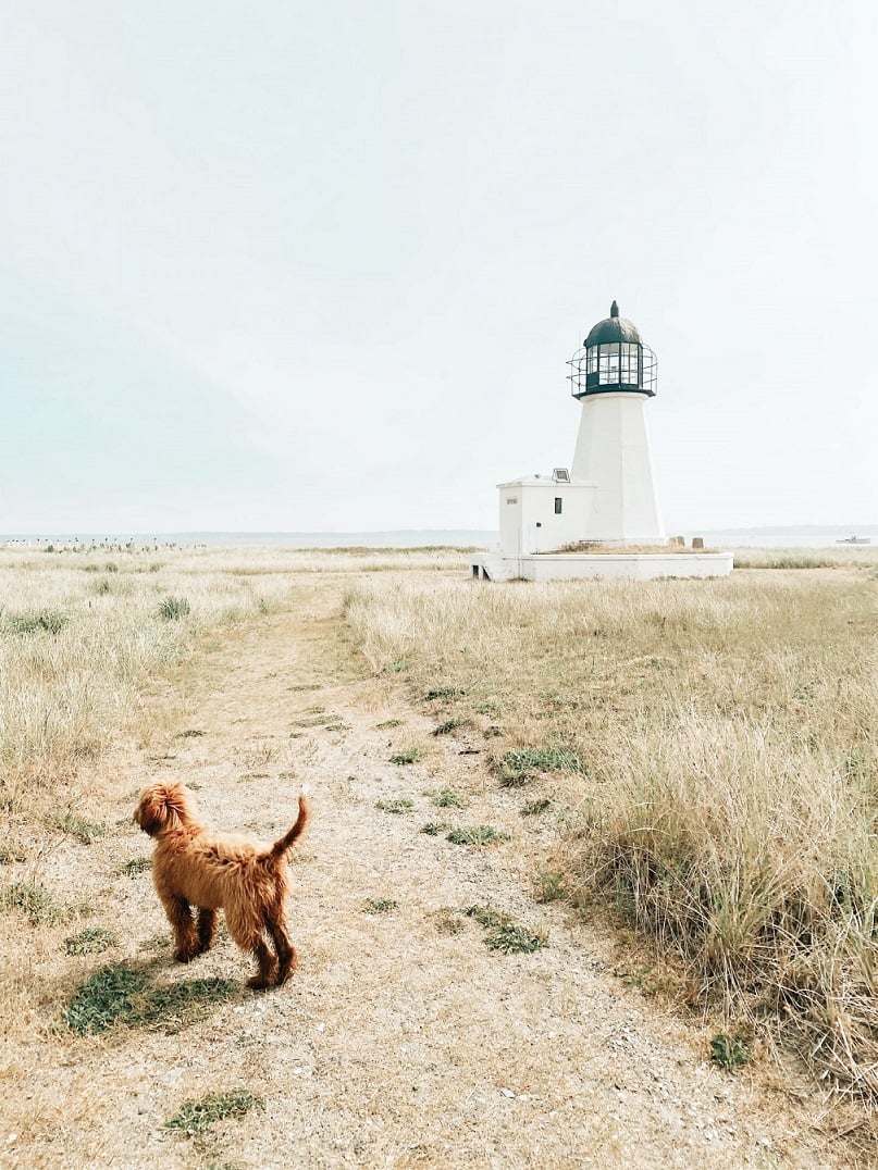 Prudence Island, Rhode Island: Complete Travel Guide