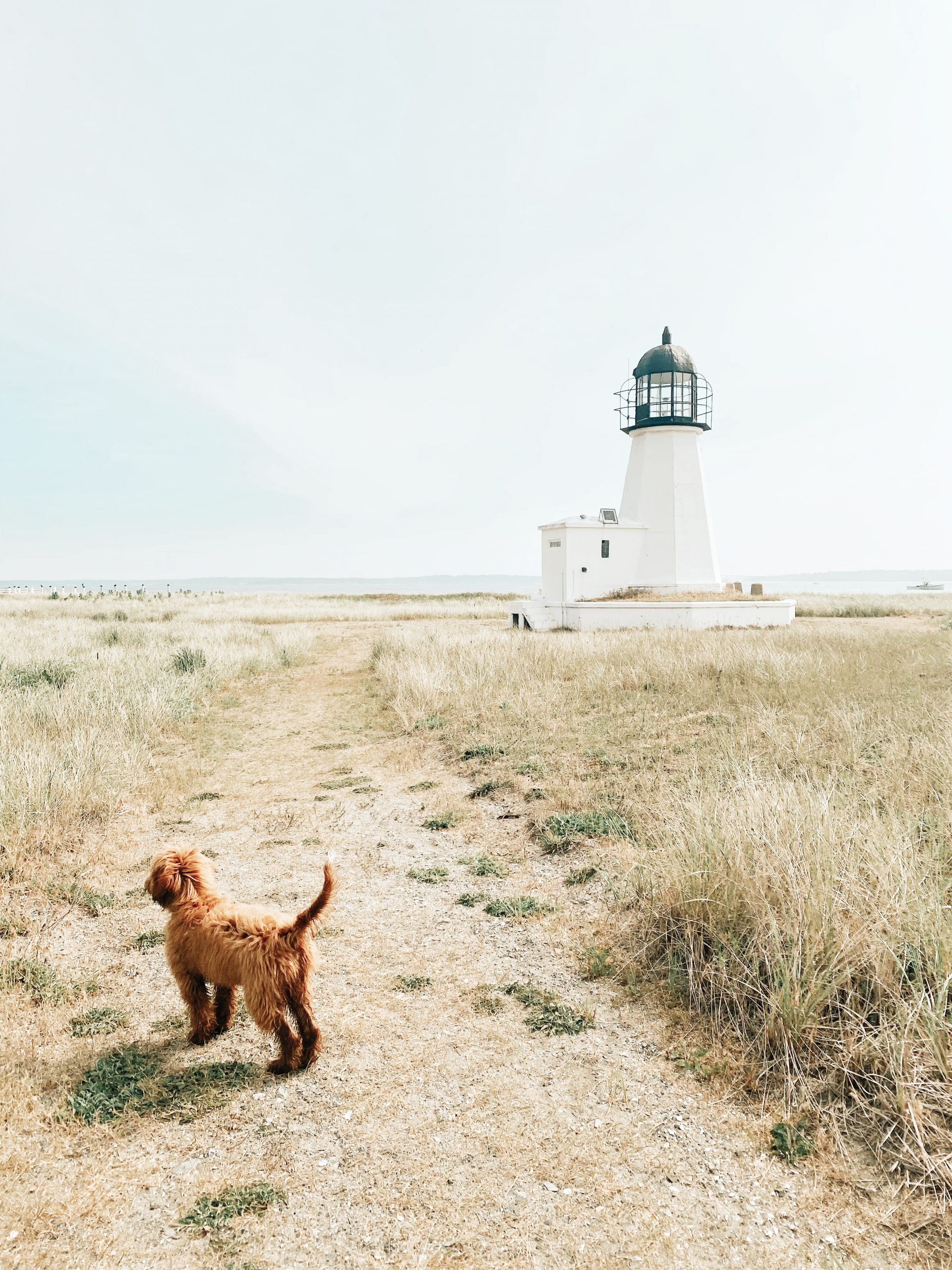 Lifestyle Blogger Chocolate and Lace shares her family trip to Prudence Island with Travel Guide.