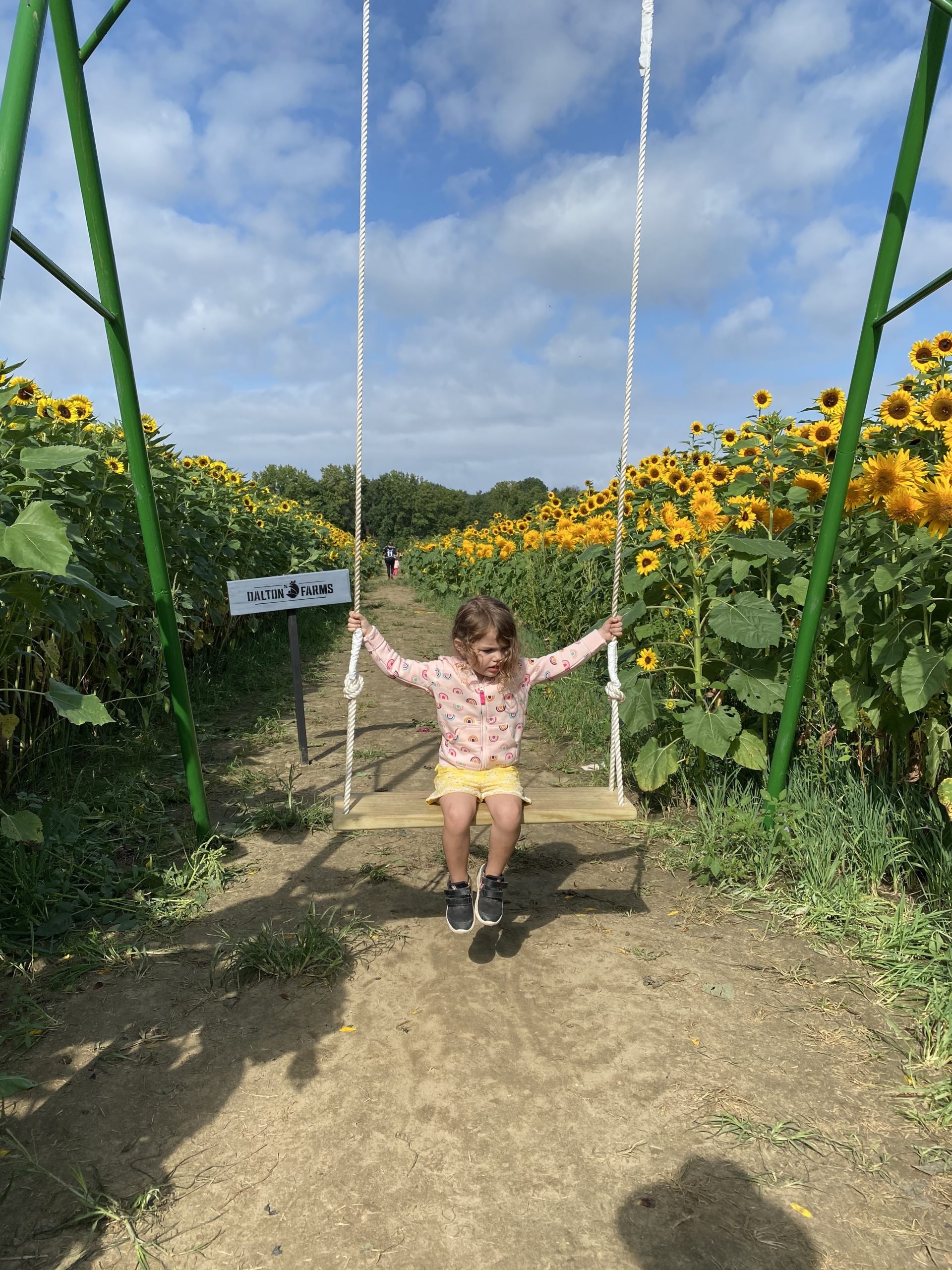 Lifestyle Blogger Chocolate & Lace shares her trip to Sunflower Fields near Philadelphia.