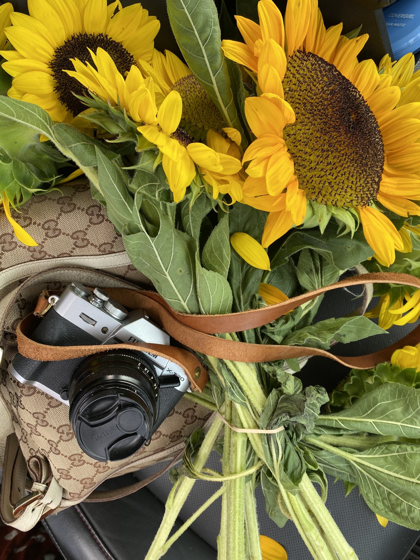 Lifestyle Blogger Chocolate & Lace shares her trip to Sunflower Fields near Philadelphia.