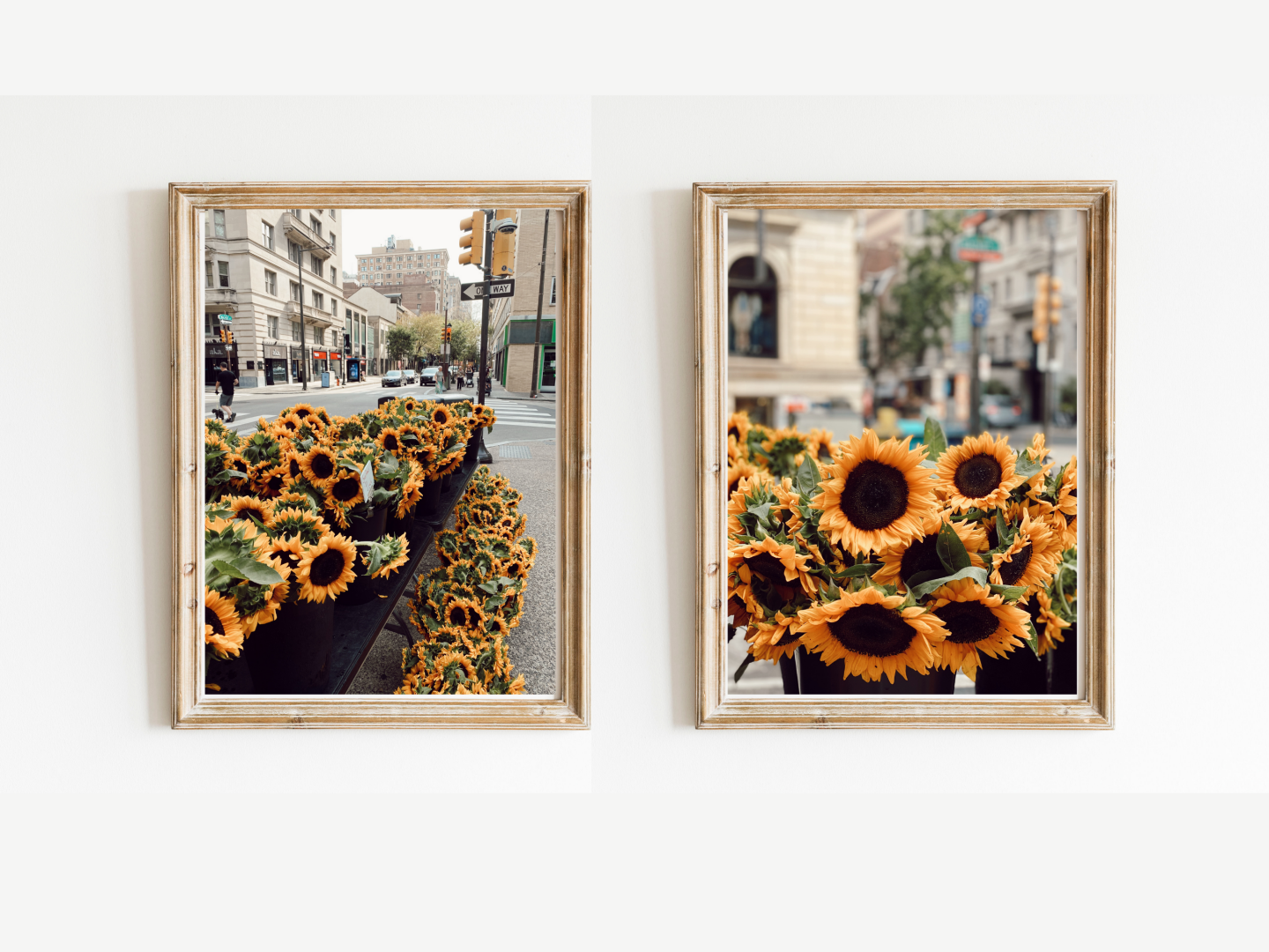 oldcitylove prints on etsy two framed prints of yellow sunflowers